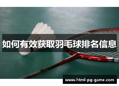 如何有效获取羽毛球排名信息