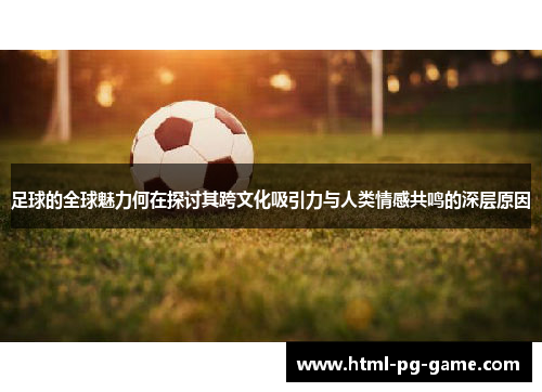 足球的全球魅力何在探讨其跨文化吸引力与人类情感共鸣的深层原因